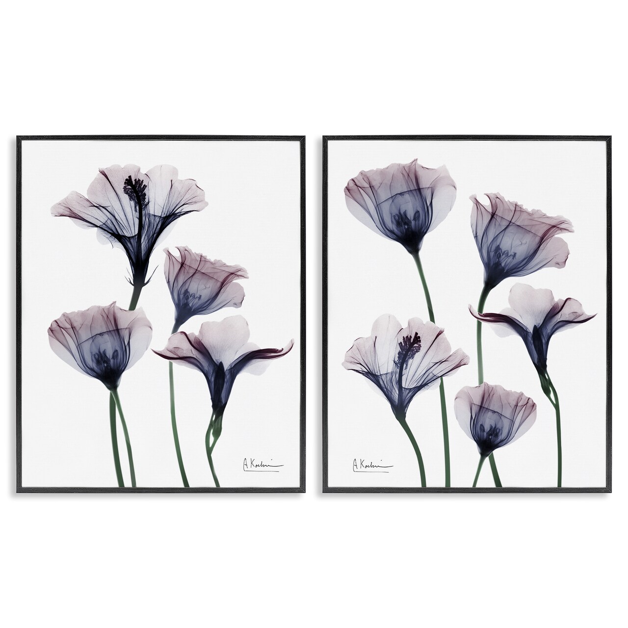 Stupell Industries Bountiful Dusk Lilies 2pc Framed Giclee Set Design by Albert Koetsier